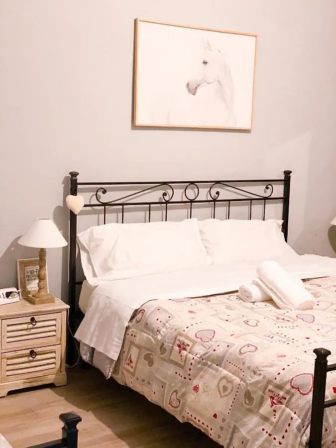 Biscuit B&B Pisa Bed & Breakfast