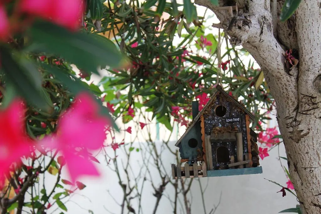 Biscuit B&B Pisa