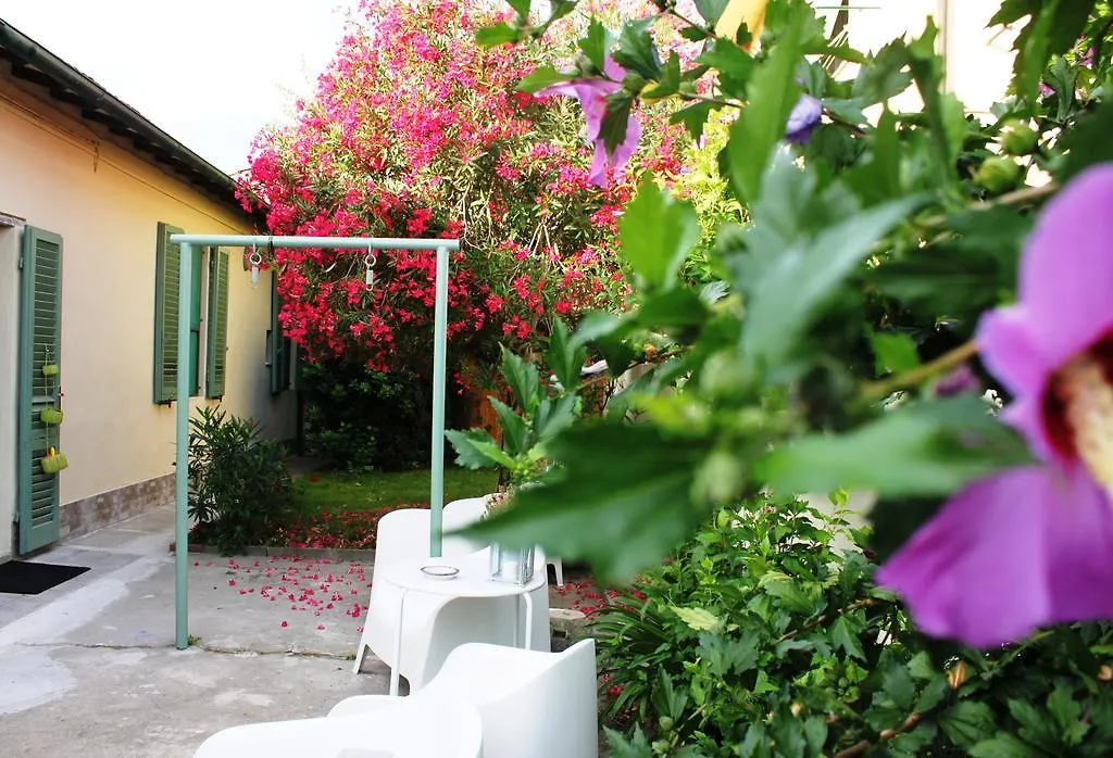 Bed & Breakfast Biscuit B&B Pisa Itálie