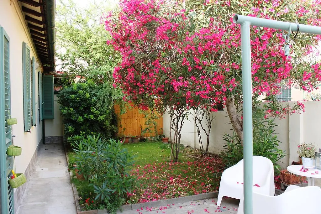 Biscuit B&B Pisa