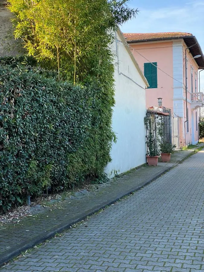 Biscuit B&B Pisa 0*,  Itálie
